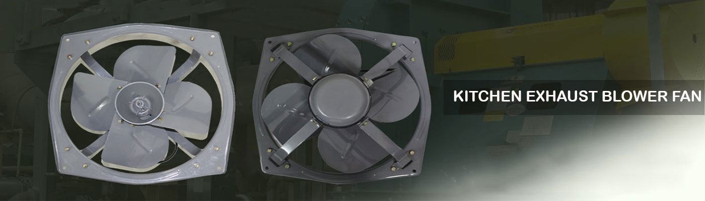 Exhaust ventilation system